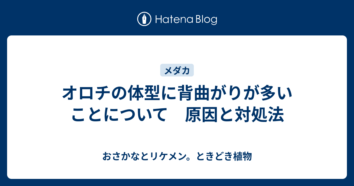 オロチの体型に背曲がりが多いことについて 原因と対処法 おさかなとリケメン ときどき植物