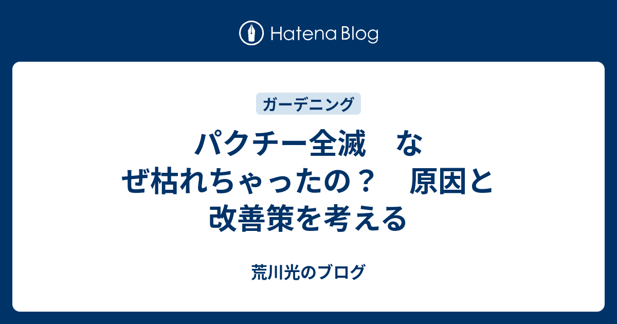 パクチー全滅 なぜ枯れちゃったの 原因と改善策を考える 荒川光のブログ