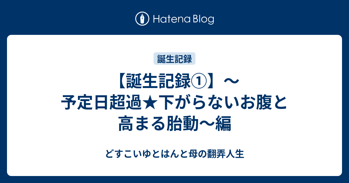 誕生記録 予定日超過 下がらないお腹と高まる胎動 編 どすこいゆとはんと母の翻弄人生