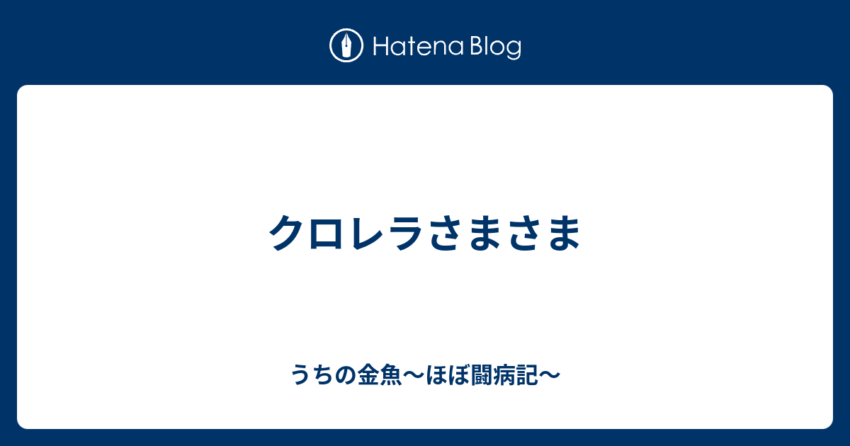 クロレラさまさま うちの金魚 ほぼ闘病記