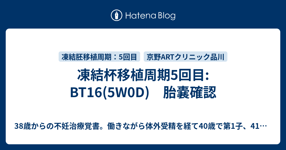 凍結杯移植周期5回目 Bt16 5w0d 胎嚢確認 38歳からの不妊治療覚書 働きながら体外受精を経て40歳で第1子 41歳で第2子出産