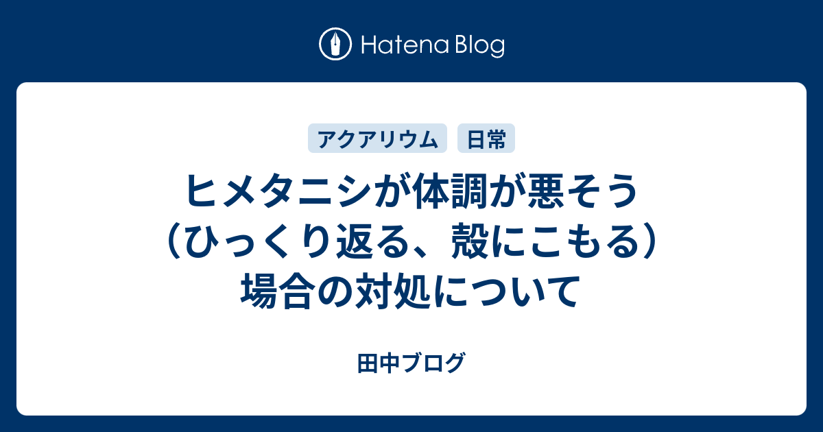 ヒメタニシが体調が悪そう ひっくり返る 殻にこもる 場合の対処について 田中ブログ