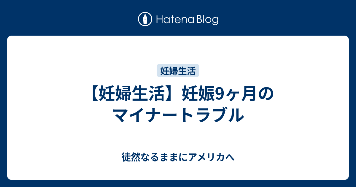 妊婦生活 妊娠9ヶ月のマイナートラブル 徒然なるままにアメリカへ