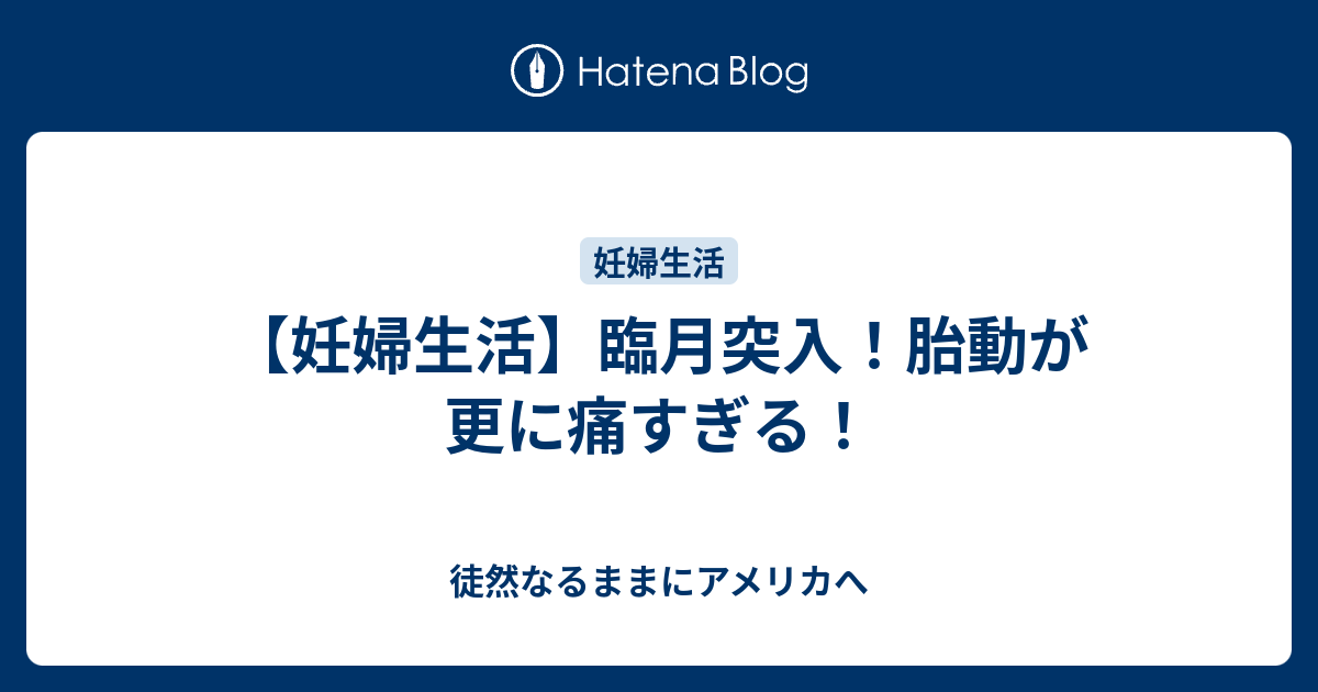 妊婦生活 臨月突入 胎動が更に痛すぎる 徒然なるままにアメリカへ