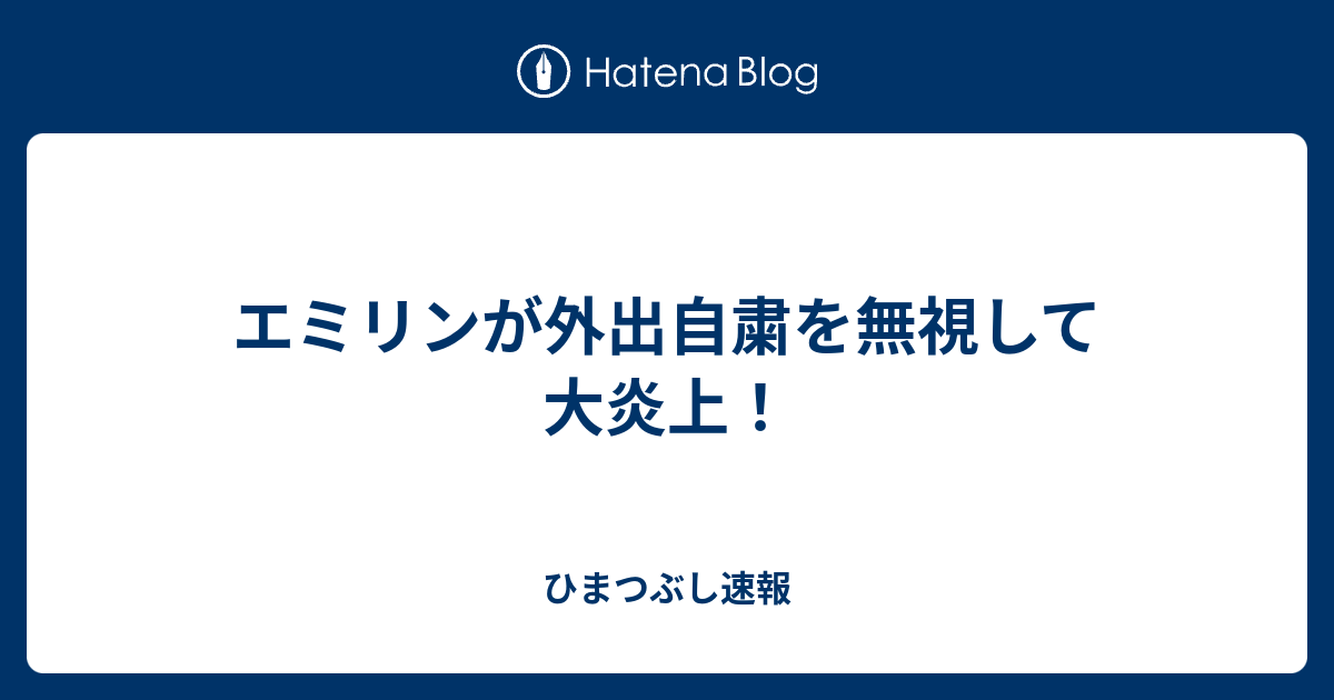 炎上 エミリン