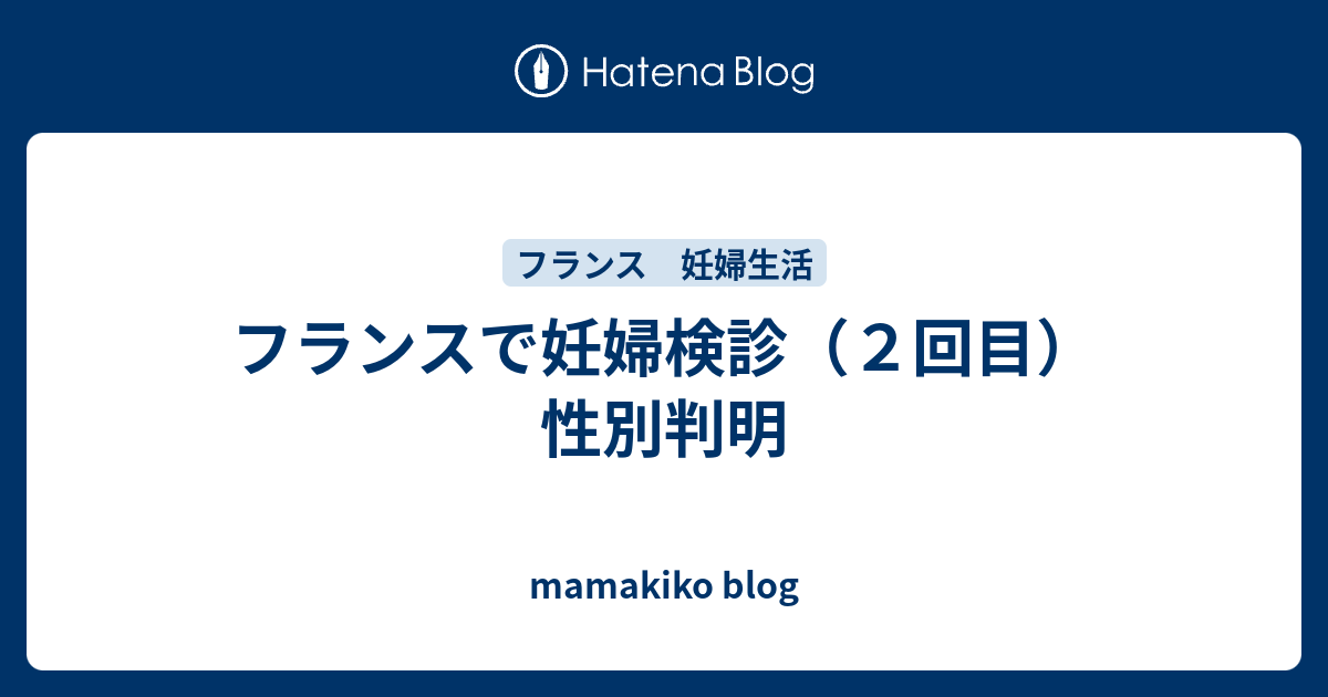 フランスで妊婦検診 ２回目 性別判明 Mamakiko Blog