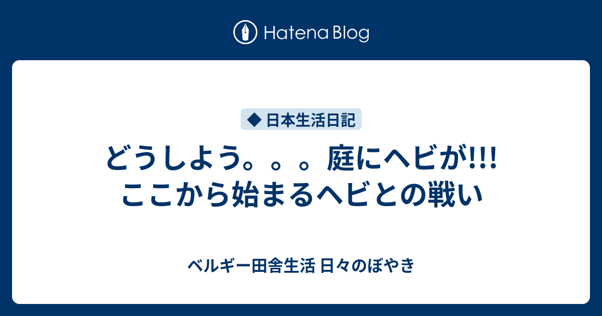 どうしよう 庭にヘビが ここから始まるヘビとの戦い ベルギー田舎生活 日々のぼやき