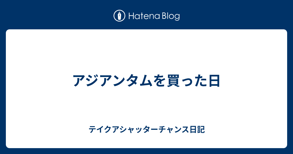 アジアンタムを買った日 - テイクアシャッターチャンス日記