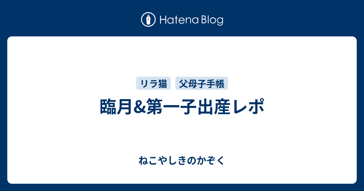 臨月 第一子出産レポ ねこやしきのかぞく