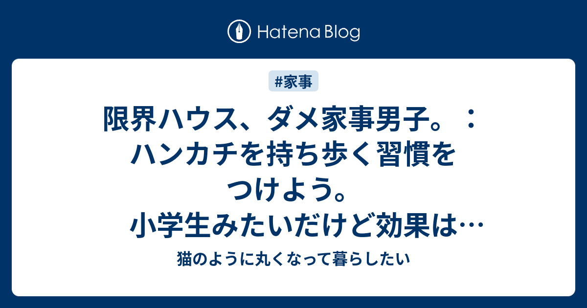 限界ハウス ダメ家事男子 ハンカチを持ち歩く習慣をつけよう 小学生みたいだけど効果は高いぞ 猫のように丸くなって暮らしたい