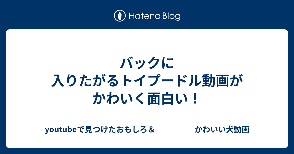 バックに入りたがるトイプードル動画がかわいく面白い Youtubeで見つけたおもしろ かわいい犬動画