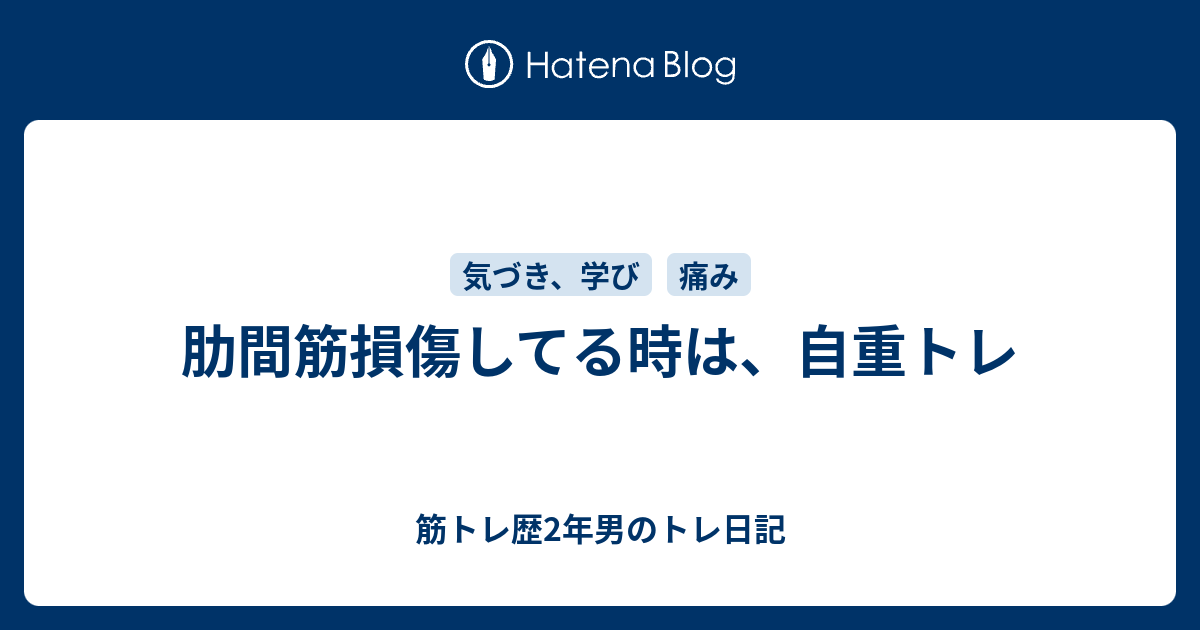 肋間筋損傷してる時は 自重トレ 筋トレ歴2年男のトレ日記