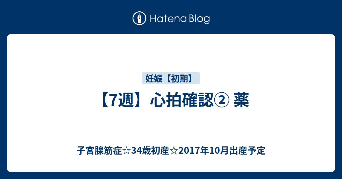 7週 心拍確認 薬 子宮腺筋症 34歳初産 17年10月出産予定