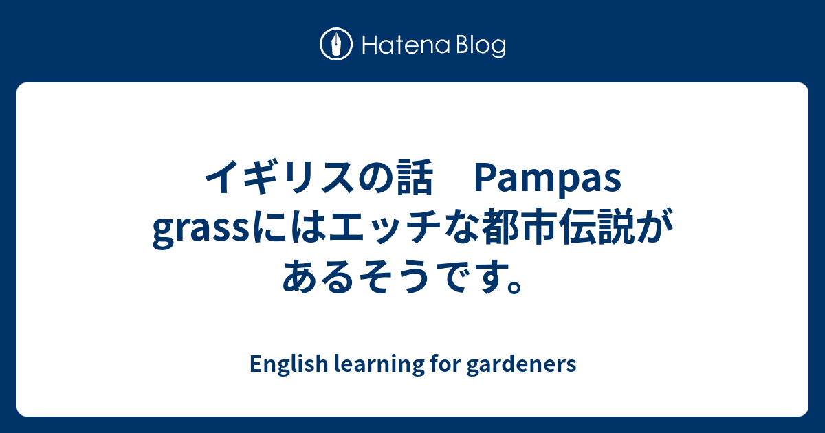 イギリスの話 Pampas Grassにはエッチな都市伝説があるそうです English Learning For Gardeners