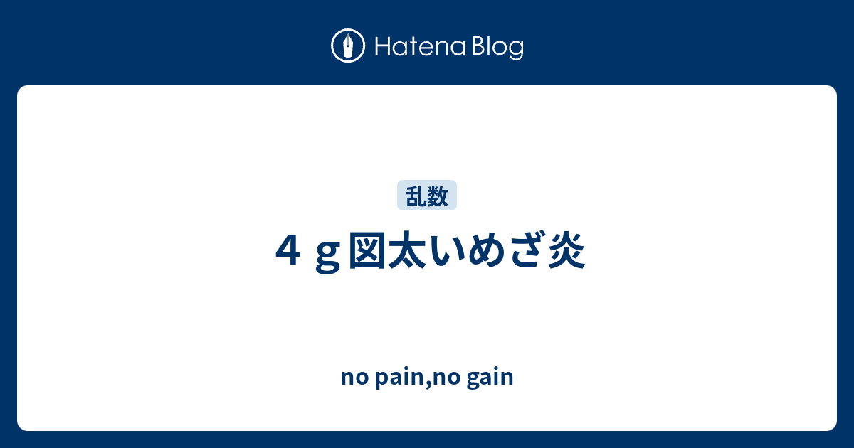 ４ｇ図太いめざ炎 No Pain No Gain