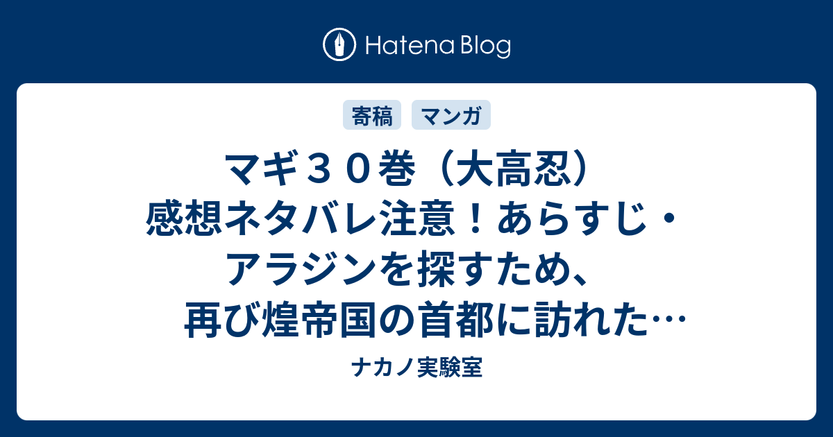 マギ３０巻 大高忍 感想ネタバレ注意 あらすじ アラジンを探すため 再び煌帝国の首都に訪れたアリババが 帝国の現皇帝に会うために Comic ナカノ実験室