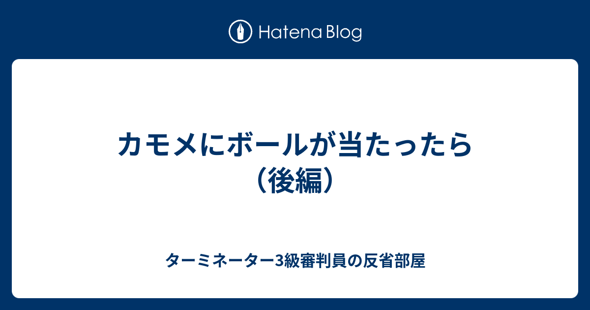 カモメにボールが当たったら 後編 ターミネーター3級審判員の反省部屋