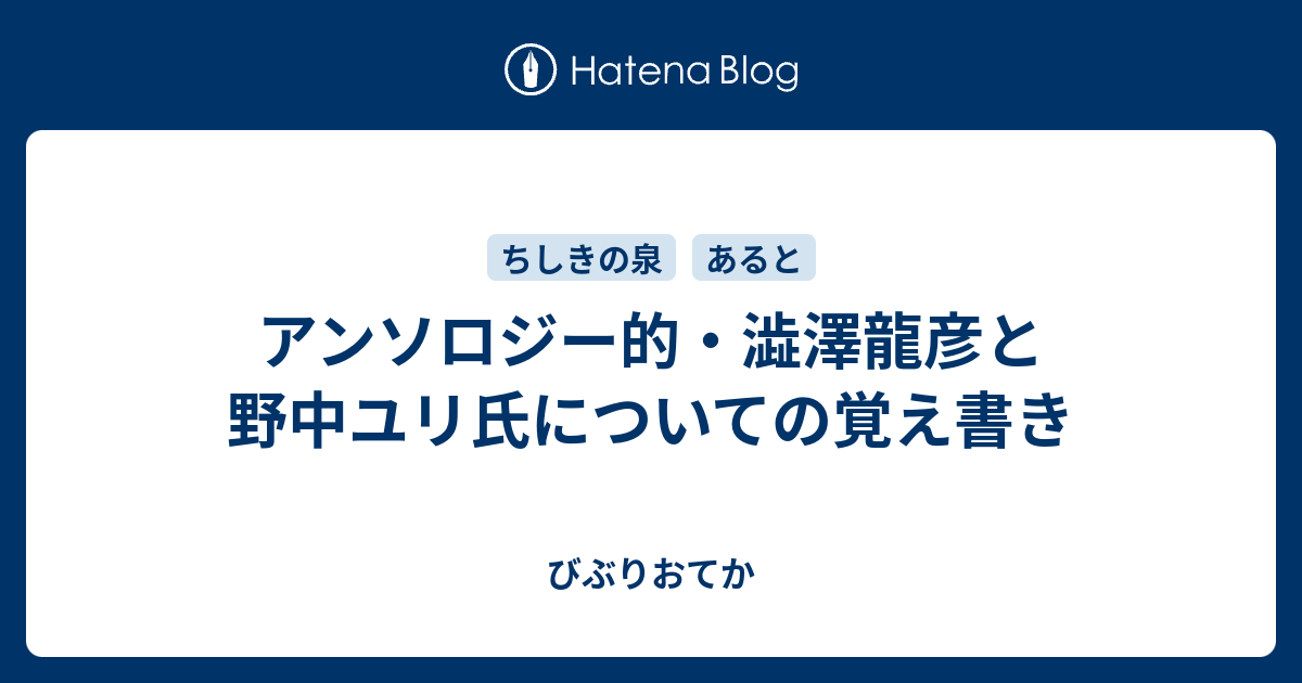 レオノール・フィニ　画集 限定版 澁澤龍彦　シュールレアリスム　現代美術 レオノール・フィニ 画集 限定版 澁澤龍彦 シュールレアリスム
