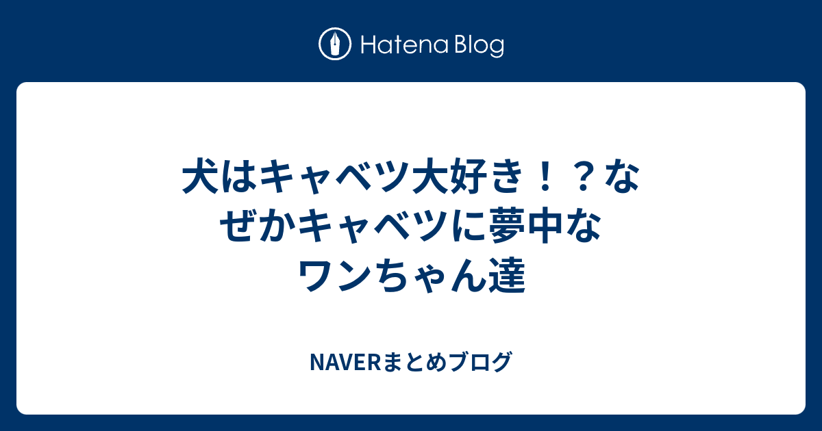 犬はキャベツ大好き なぜかキャベツに夢中なワンちゃん達 Naverまとめブログ