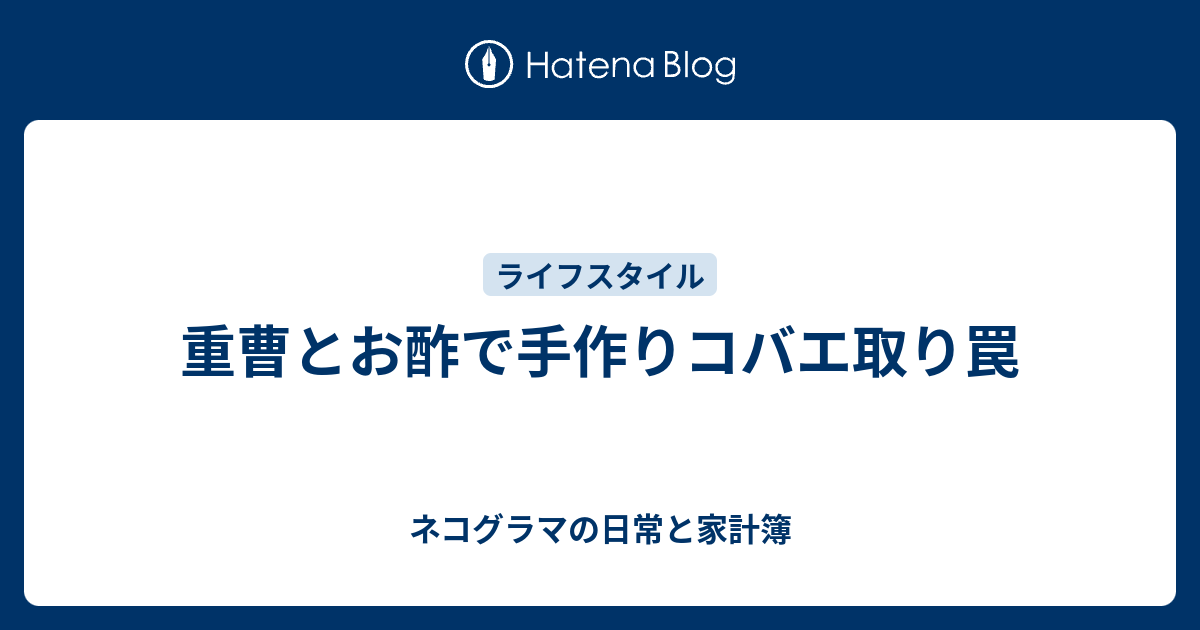 重曹とお酢で手作りコバエ取り罠 脱サラしてハンドメイド作家になりました