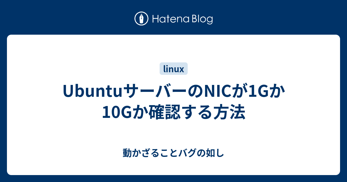 UbuntuサーバーのNICが1Gか10Gか確認する方法 - 動かざることバグの如し