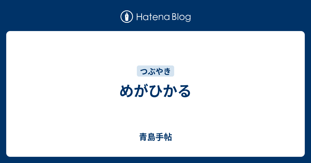 めがひかる 青島手帖