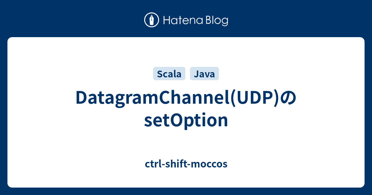 DatagramChannel(UDP)のsetOption ctrlshiftmoccos