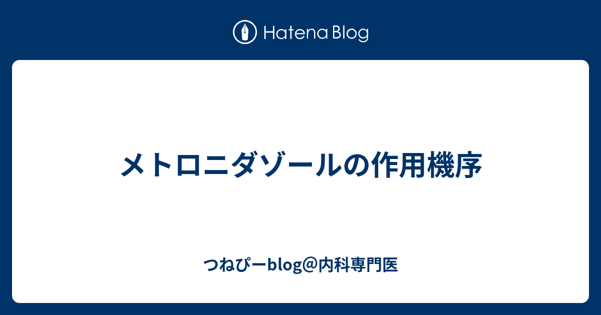 メトロニダゾール テウト膣ジェル リーフレット