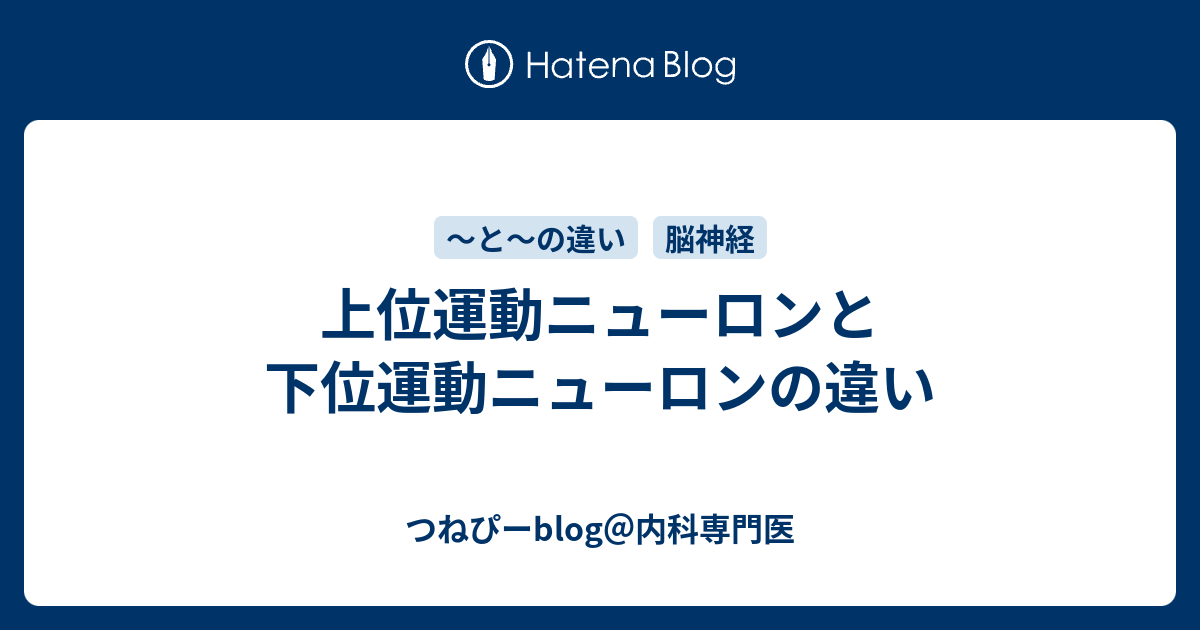 上位運動ニューロンと下位運動ニューロンの違い つねぴーblog 内科専攻医