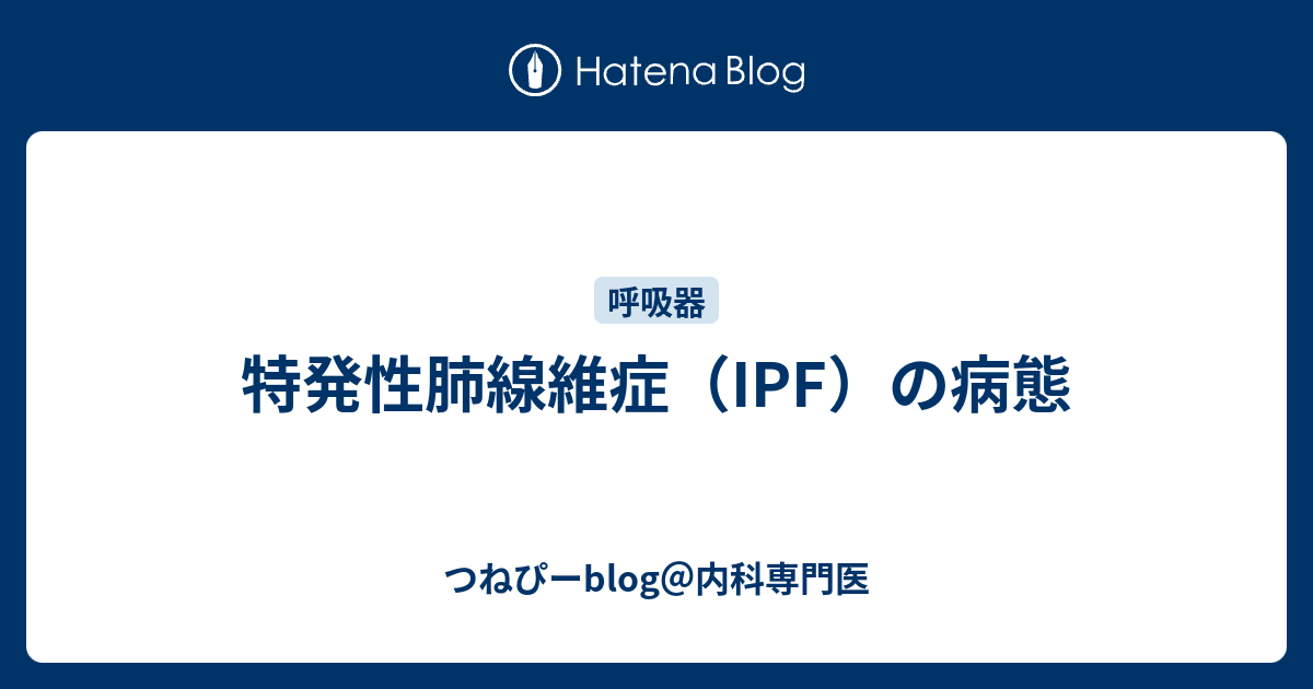 特発性肺線維症（ipf）の病態 つねぴーblog＠内科専門医