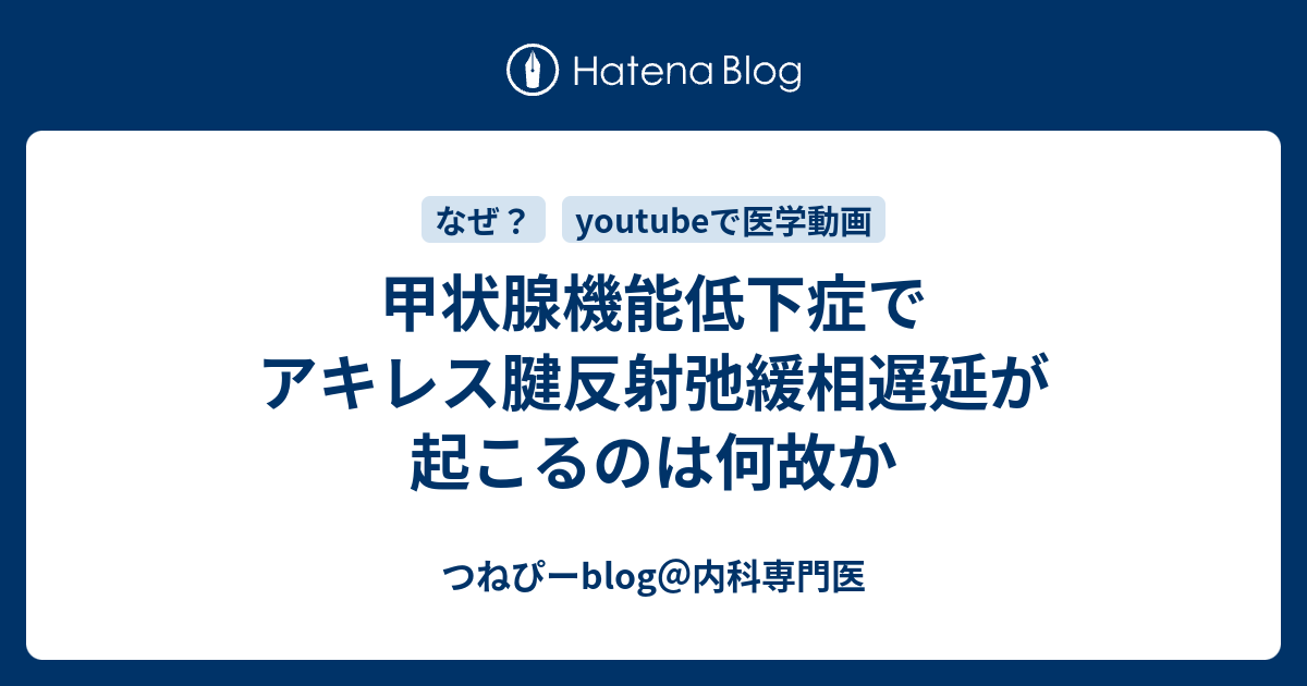 甲状腺機能低下症でアキレス腱反射弛緩相遅延が起こるのは何故か つねぴーblog 内科専攻医