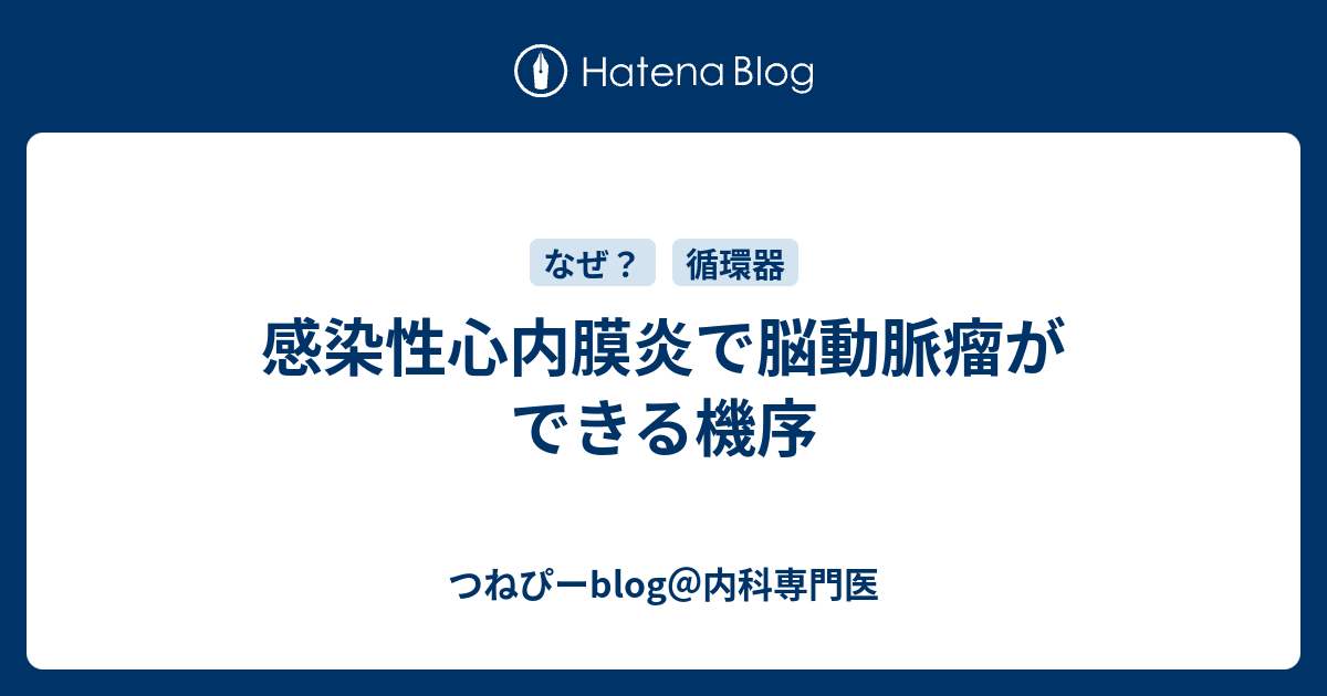 感染性心内膜炎で脳動脈瘤ができる機序 つねぴーblog 内科専攻医