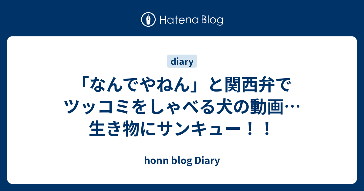 なんでやねん と関西弁でツッコミをしゃべる犬の動画 生き物にサンキュー Honn Blog Diary