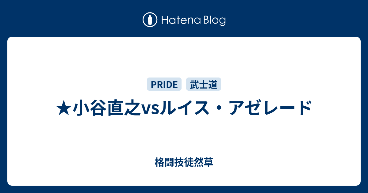 小谷直之vsルイス アゼレード 格闘技徒然草