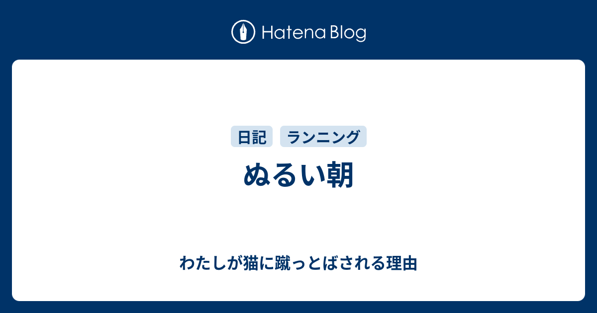 ぬるい朝 - わたしが猫に蹴っとばされる理由