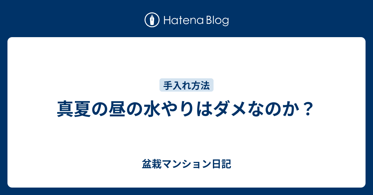 真夏の昼の水やりはダメなのか 盆栽マンション日記