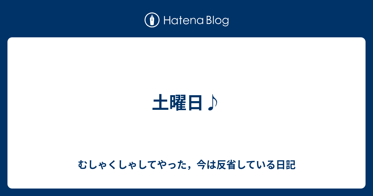 土曜日 むしゃくしゃしてやった 今は反省している日記