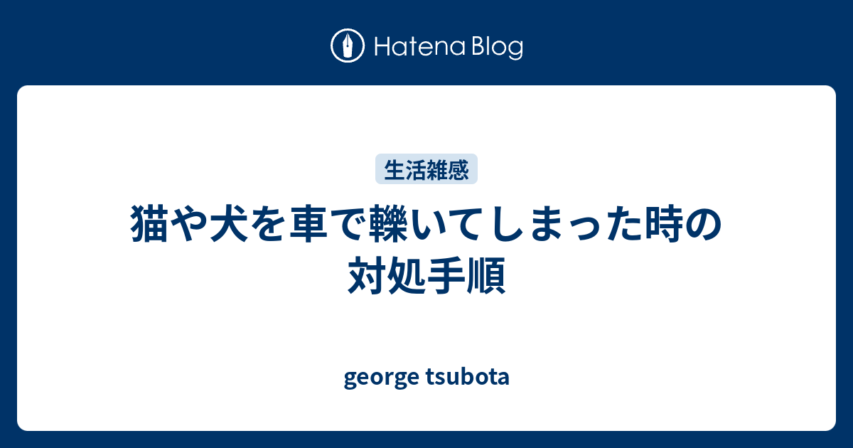 猫や犬を車で轢いてしまった時の対処手順 George Tsubota