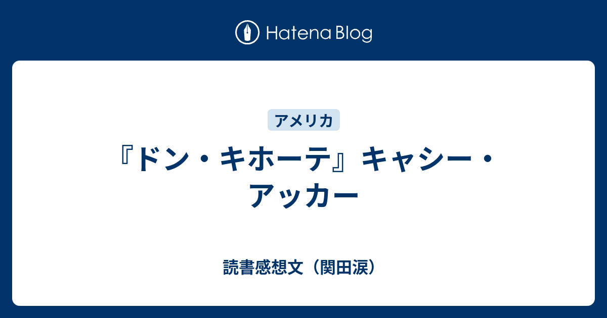 ドン キホーテ キャシー アッカー 読書感想文 関田涙