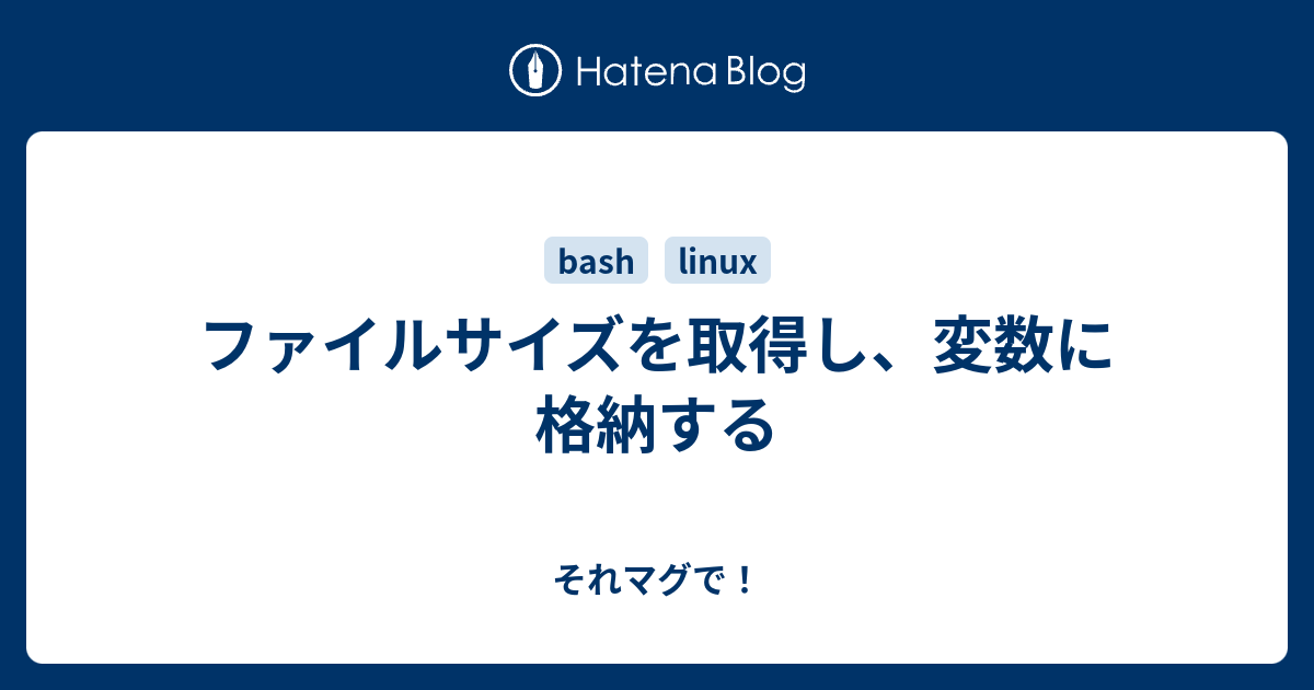 ファイルサイズを取得し 変数に格納する それマグで