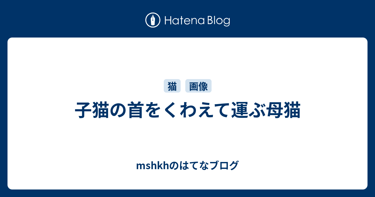 子猫の首をくわえて運ぶ母猫 Mshkhのはてなブログ