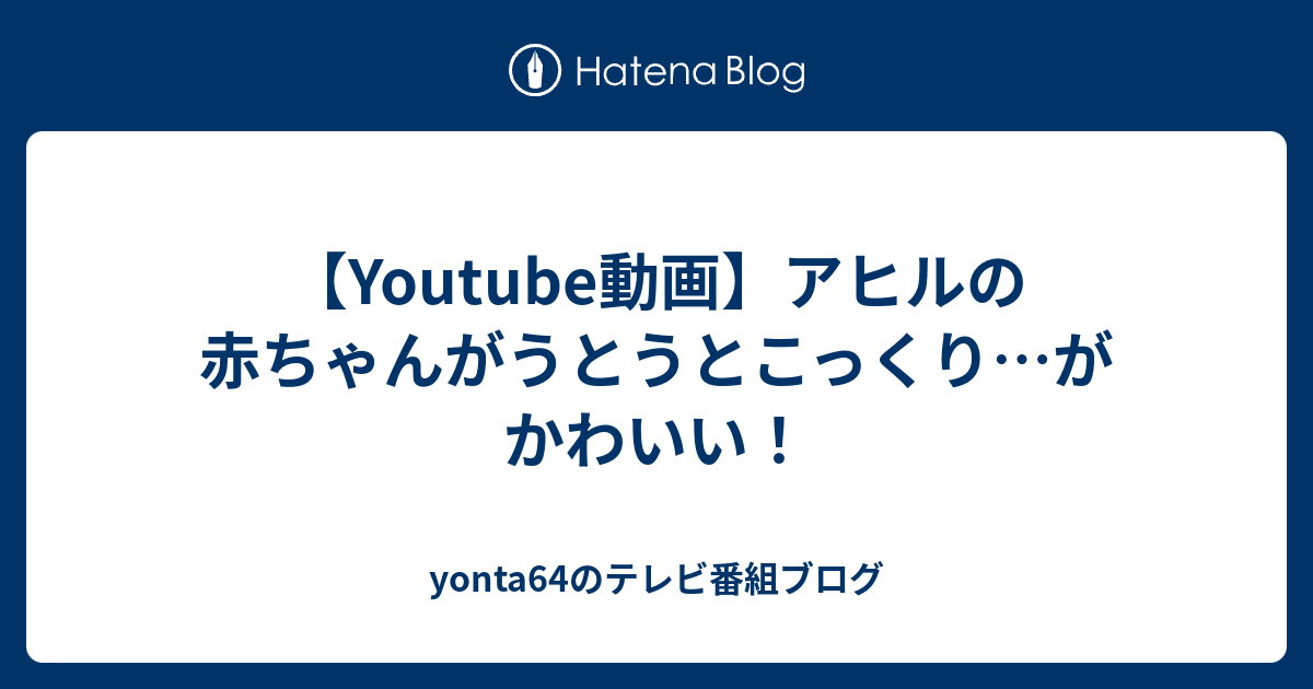 Youtube動画 アヒルの赤ちゃんがうとうとこっくり がかわいい Yonta64のテレビ番組ブログ