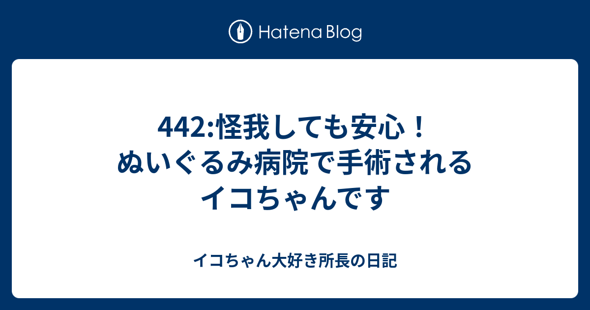 442 怪我しても安心 ぬいぐるみ病院で手術されるイコちゃんです イコちゃん好き所長の日記