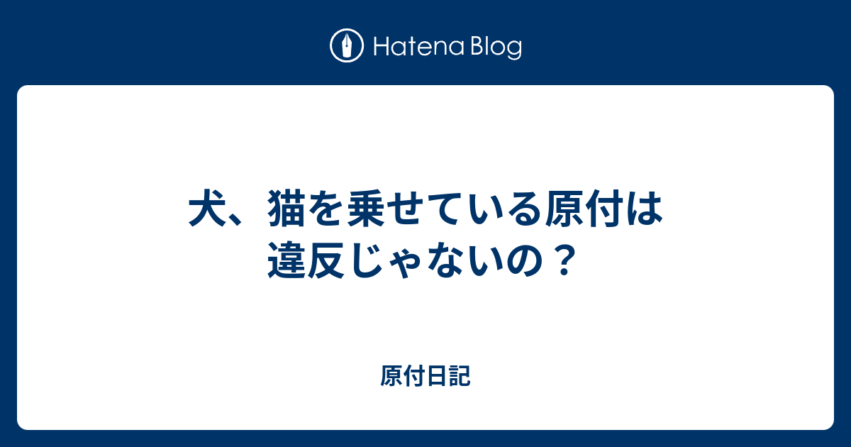 犬 猫を乗せている原付は違反じゃないの 原付日記