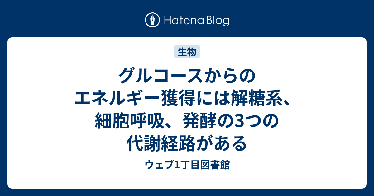 ウェブ1丁目図書館  グルコースからのエネルギー獲得には解糖系、細胞呼吸、発酵の3つの代謝経路がある