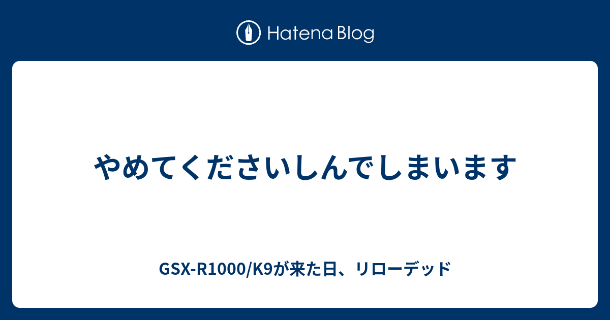 やめてくださいしんでしまいます Gsx R1000 K9が来た日 リローデッド