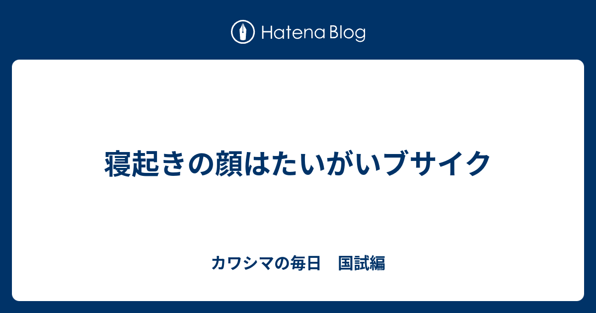 寝起きの顔はたいがいブサイク カワシマの毎日 国試編