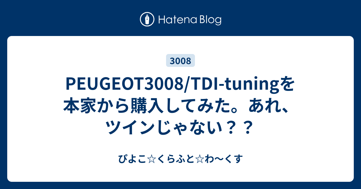 PEUGEOT3008/TDI-tuningを本家から購入してみた。あれ、ツインじゃない