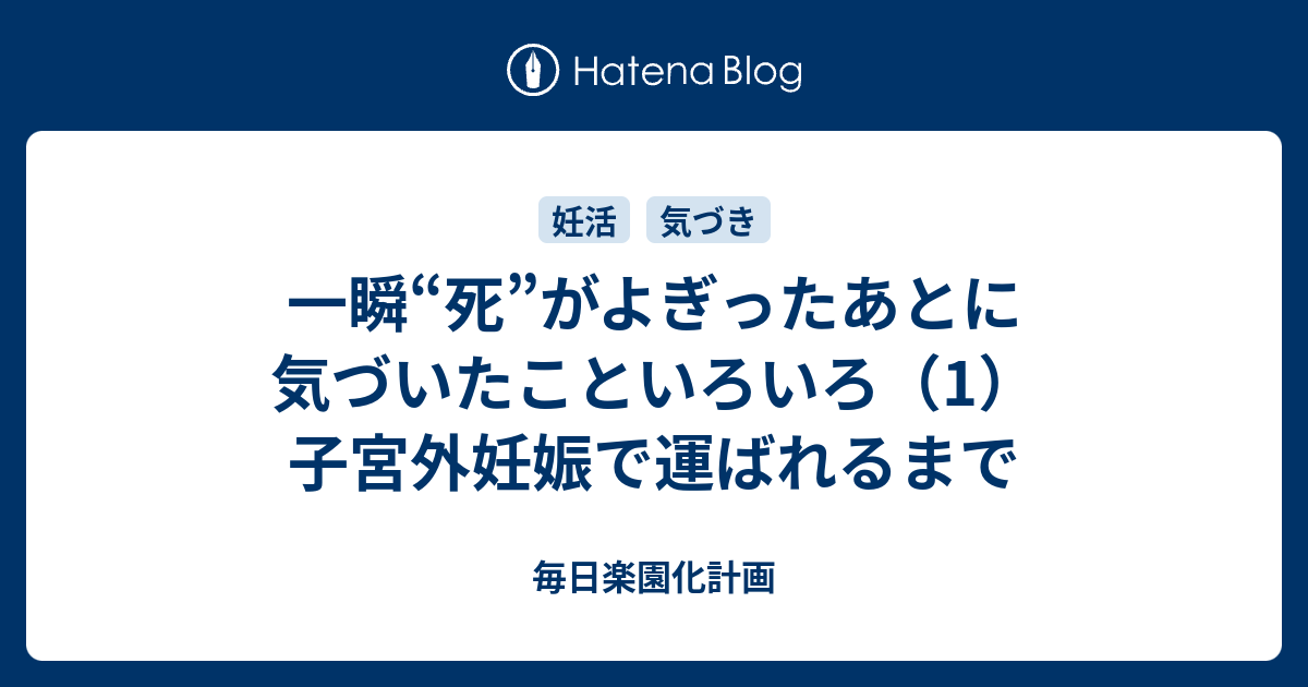 外 妊娠 ブログ 子宮 子宮外妊娠の症状を知っておこう。早期発見が鉄則！