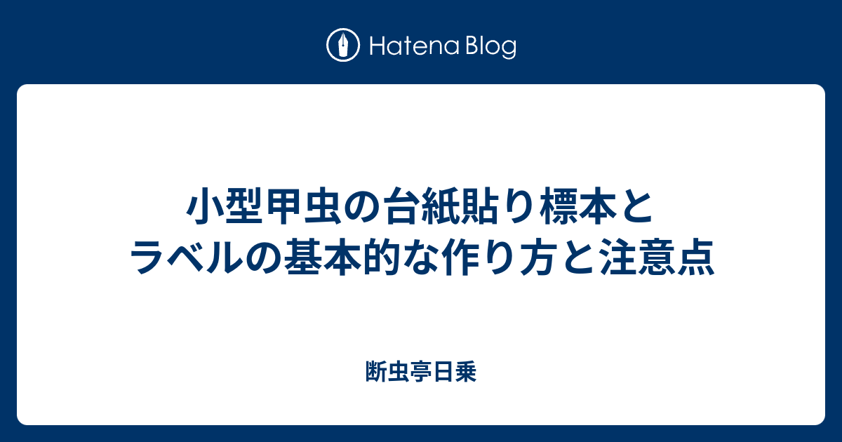 小型甲虫の台紙貼り標本とラベルの基本的な作り方と注意点 断虫亭日乗